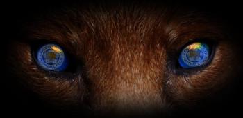 Leicester City Fox Blue Eyes