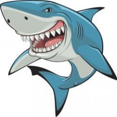 TheShark