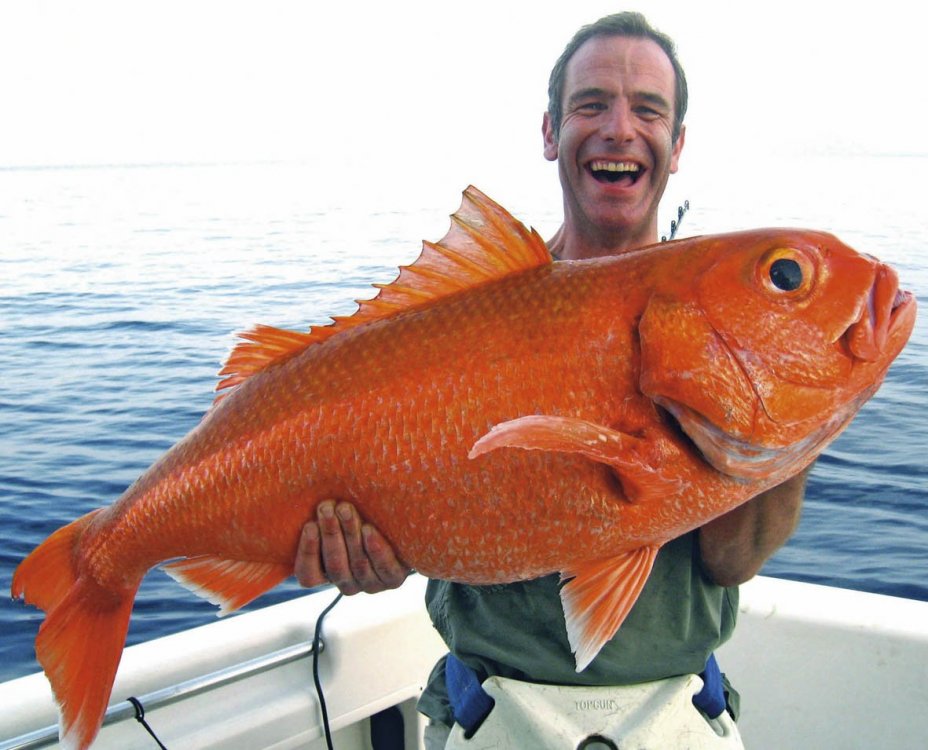 RobsonGreen.jpg