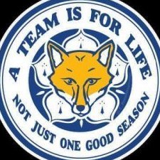 Bluefox22