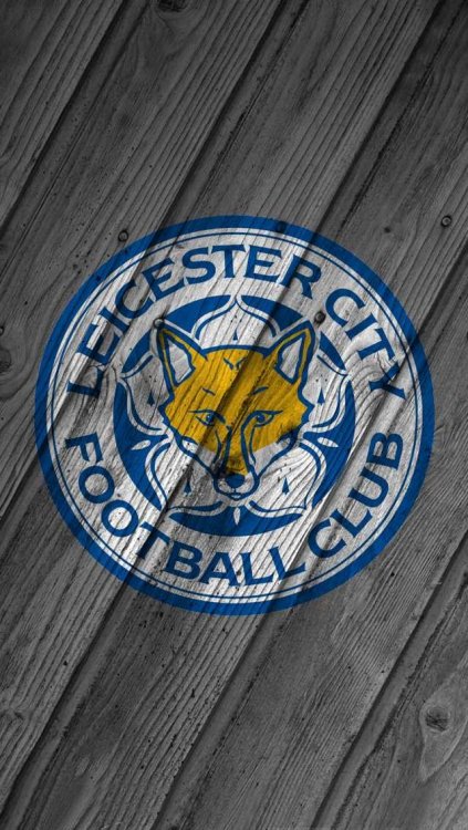 LCFC grey bg.jpg