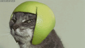 636012083470463696221976337_200_s.gif.1db58066699245e23753e20bb9b14a8f.gif