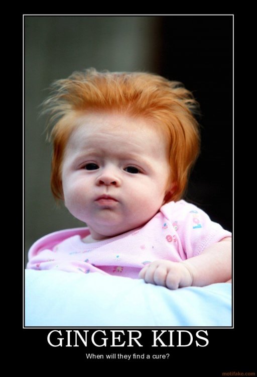 ginger-kids-ginger-kids-cure-demotivational-poster-1256649495.thumb.jpg.7938119bf9e2b89f8e3457d975136257.jpg
