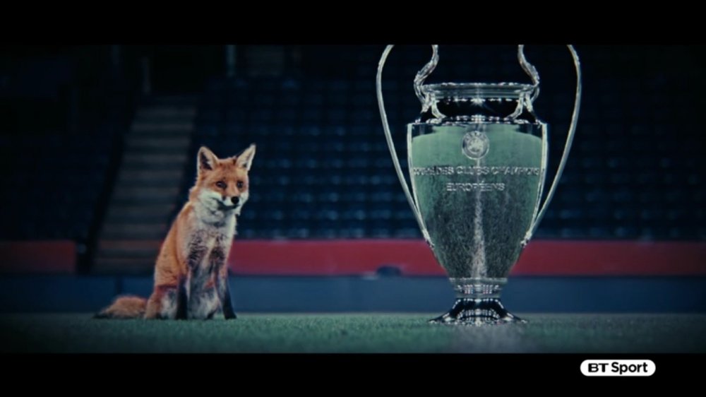 FoxesNeverQuit.jpg