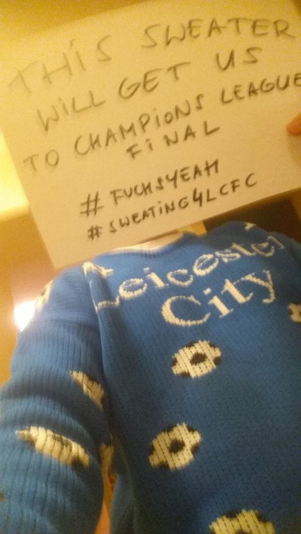 lucky_CL_sweater.jpg