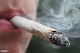 reefer.jpg.8faf390c467cf5b0f231bc1826236318.jpg