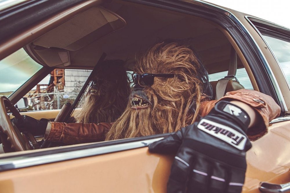 chewbacca-in-real-life-2.thumb.jpg.54be6d9ff8d094ef9ae242e83fe4b536.jpg
