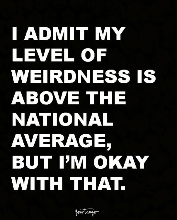 27b57c6fb58a5264d0743846c521b6d3--weird-quotes-top-quotes.jpg
