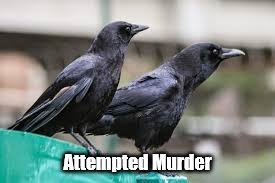 595bd9aad8c48_AttemptedMurder.jpg.82f0edc69e74911b555986182d49843c.jpg