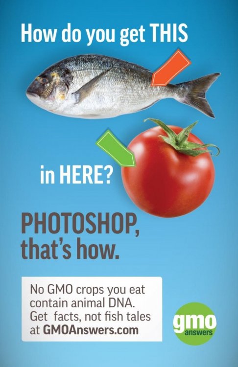 Fish.thumb.jpg.3c3eee58e2bf7690ce44806c4314af11.jpg