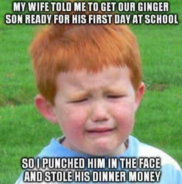 Ginger.jpg.a72cde52e80fa46bae899283ac8d4b0b.jpg