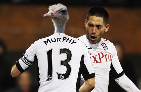 danny_murphy_ostrich2.jpg.84f2fd8404274bbc908d69763120fac6.jpg