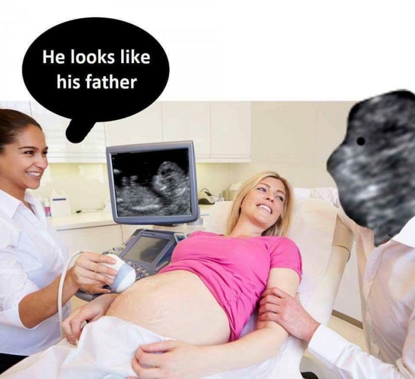FB_IMG_1502235001349.jpg