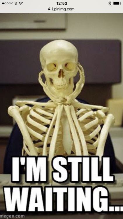 IMG_2011.PNG
