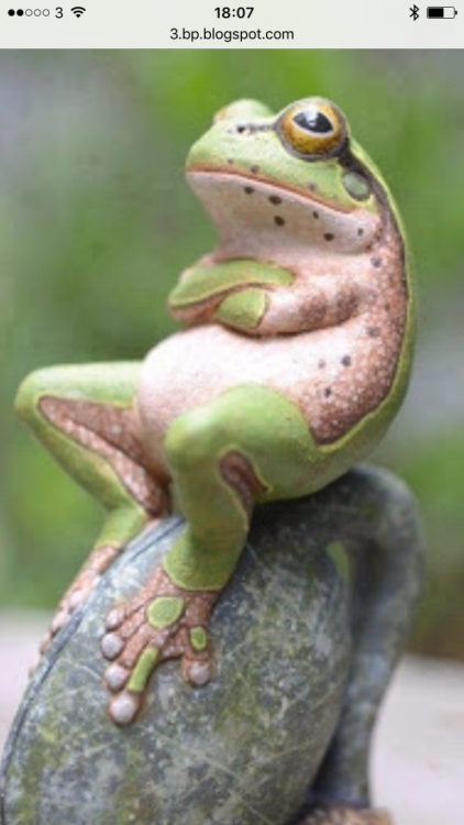 IMG_2015.PNG
