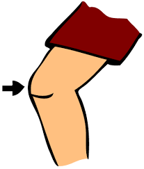 59dc855a03c1e_download(1).png.1ab5624eafb698a634a51fbe82065db1.png