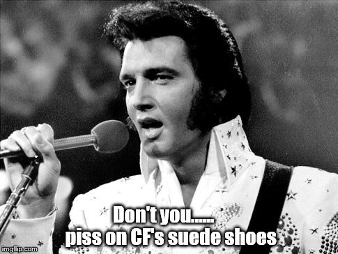 Elvis.jpg.c312f29aef3c3ac086b3d0feb8405554.jpg