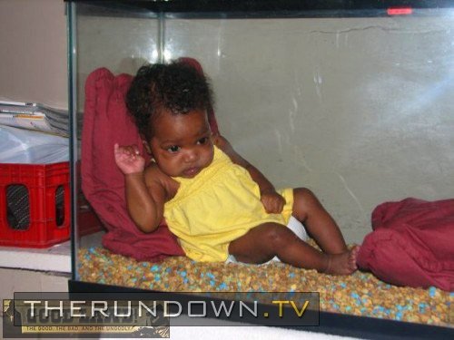 babyinfishtankwtfff10sqw98.jpg.fb32731438d297260d4d88338db5f40b.jpg