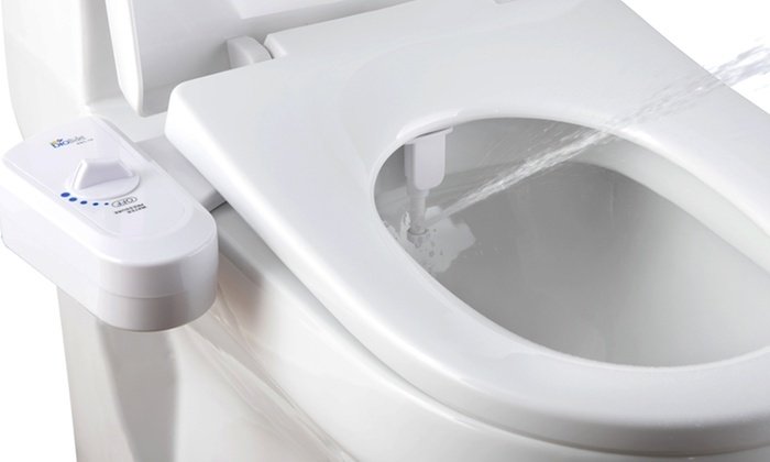 bidet.jpg.f1c3a1d95f2b8337aeec6312bdc14314.jpg
