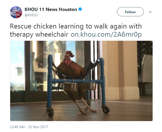 ll.PNG.75f374f365862b135b76e345d6258c4c.PNG