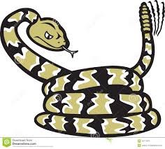 rattlesnake.jpg.24aa8e34561c1fb317e475ccccba2353.jpg