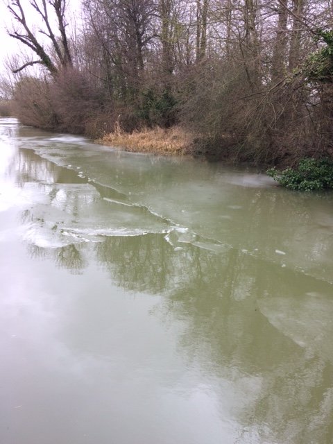 Canal.JPG.7b398ee47fb7af17191ab24e74e1a34f.JPG