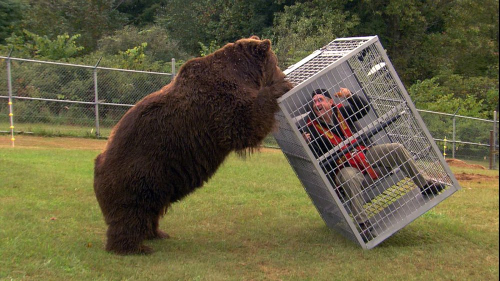 ngc-8598_10831888_Brown_Bear_Attack_R1.jpg