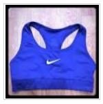 BlueBra.JPG.65bff30681a68d40b66d0c8a6cd3b1a9.JPG