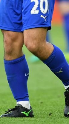 ShinjisCalf.JPG.4607b8c991c3593cc9ebe482e70e467d.JPG