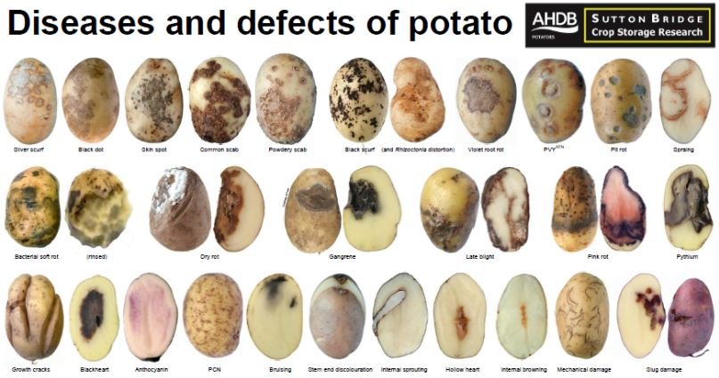 219172293_VerminousSpuds.JPG.38df9ae86d3152cb7c90fa95bedc2d63.JPG