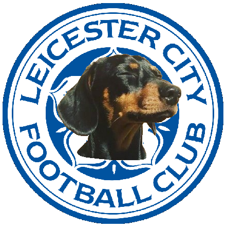 NCFC.png.d1ea90ad7a81454357caa18c2102a9b8.png