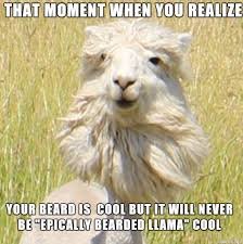 image.jpeg.f27ece87c5164081be8ca8493c5d68e1.jpeg