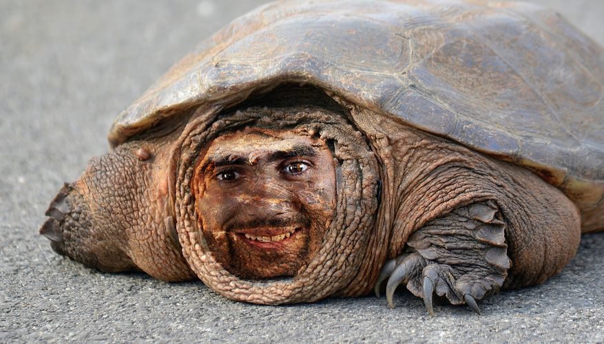 ghezzal.jpg.5494c2c76c6d421e4040ad96efb72b98.jpg
