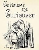 curiouser.JPG.fd35fea9661e3bbdf45cb7c6ef26afff.JPG