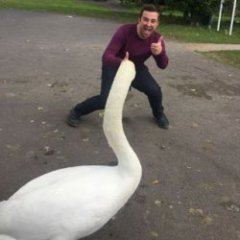 StokeMartyn