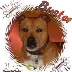 Buster95