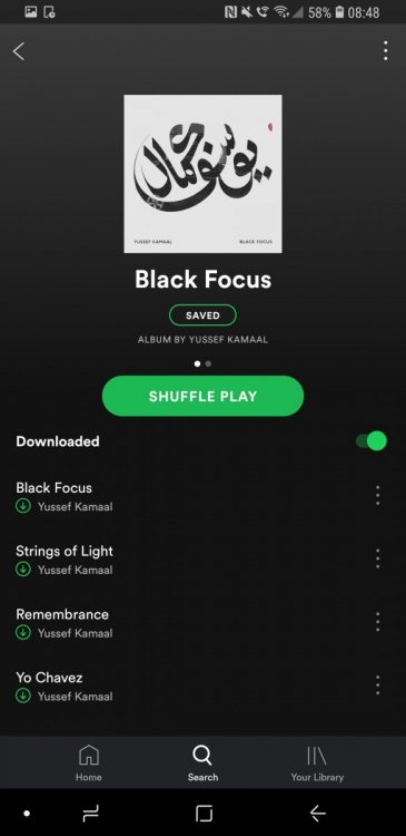 Screenshot_20181128-084833_Spotify.jpg