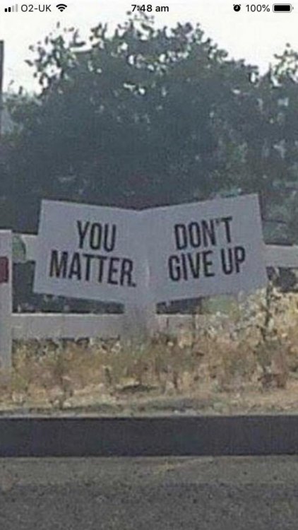 gssfppfieny11.thumb.jpg.c2abaac61b9e1faaac3dcc051ec38022.jpg