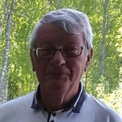 Svenfox