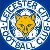 Foxes04