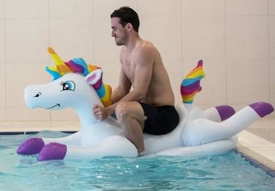 unicorn.JPG.3e1746a799971f9924e585744aa0fe1c.JPG