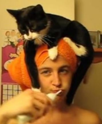 catWear.JPG.88a2556a397e30354f3b1a8f6a2621b5.JPG