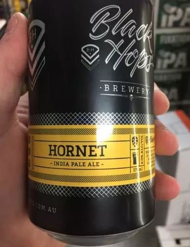 hornet.JPG.3fcb10e91fb1027503b3c0197c7297d3.JPG