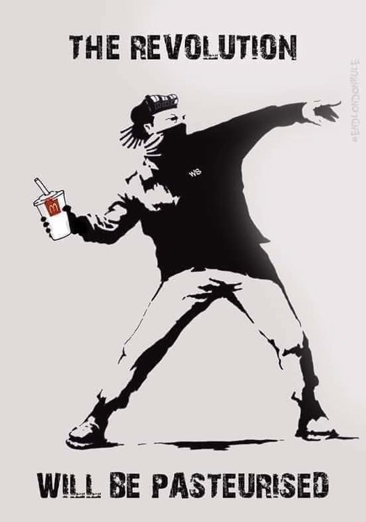 481C16FD-ADBB-49C7-AF66-D30C603B1F08.jpeg