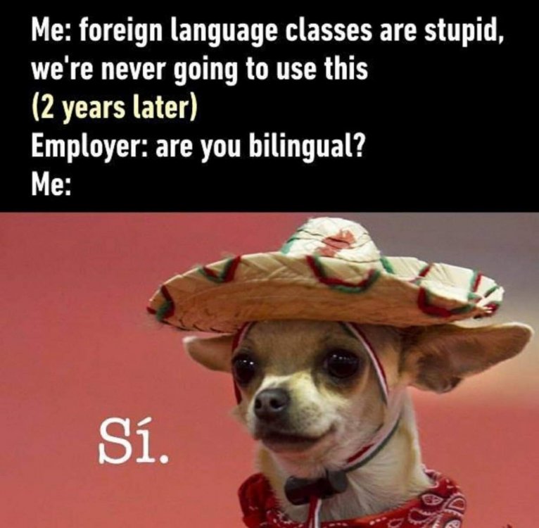 FB_IMG_1556917988400.jpg