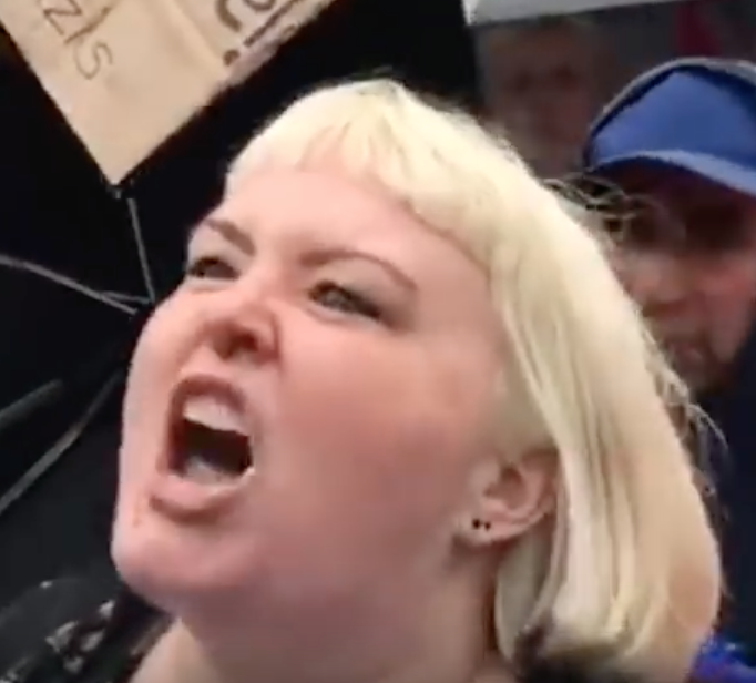 293789989_Verynicelady1.png.acb6257d9e190c638df76115fac533b1.png