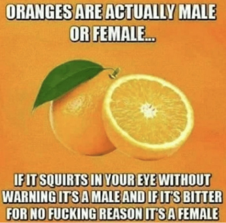 3D6587F5-A049-4B87-9A31-E4A76DA03653.jpeg