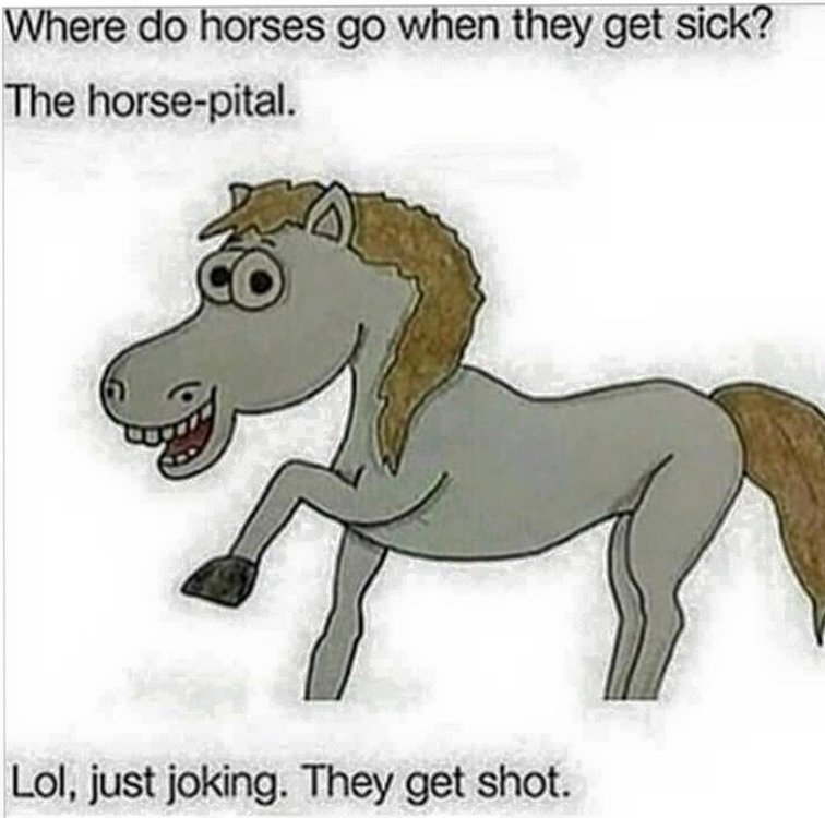 62555183_1774986195980089_7133232167965949952_n.jpg