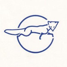 Gold Coast Fox