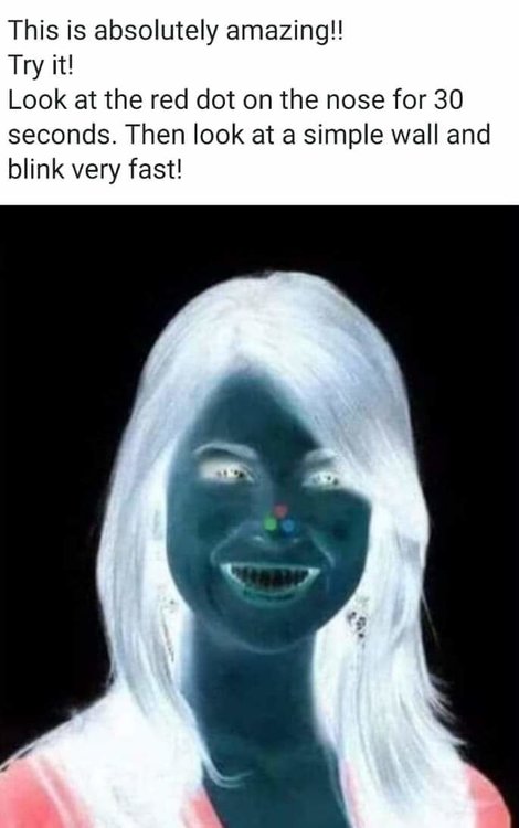 facebook_1559463126648.jpg